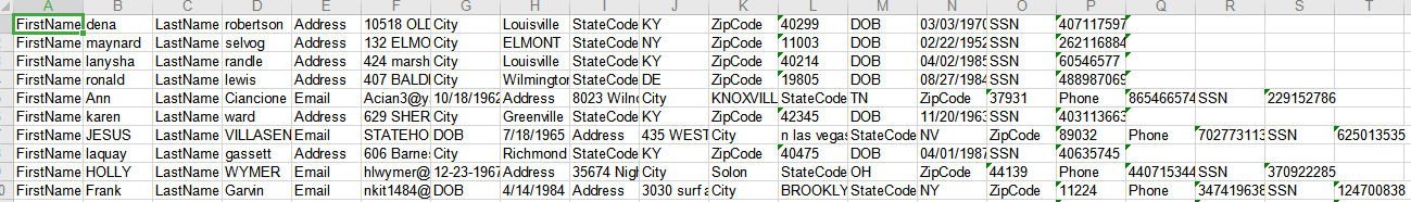美国真实信息资料新库（文字形式）