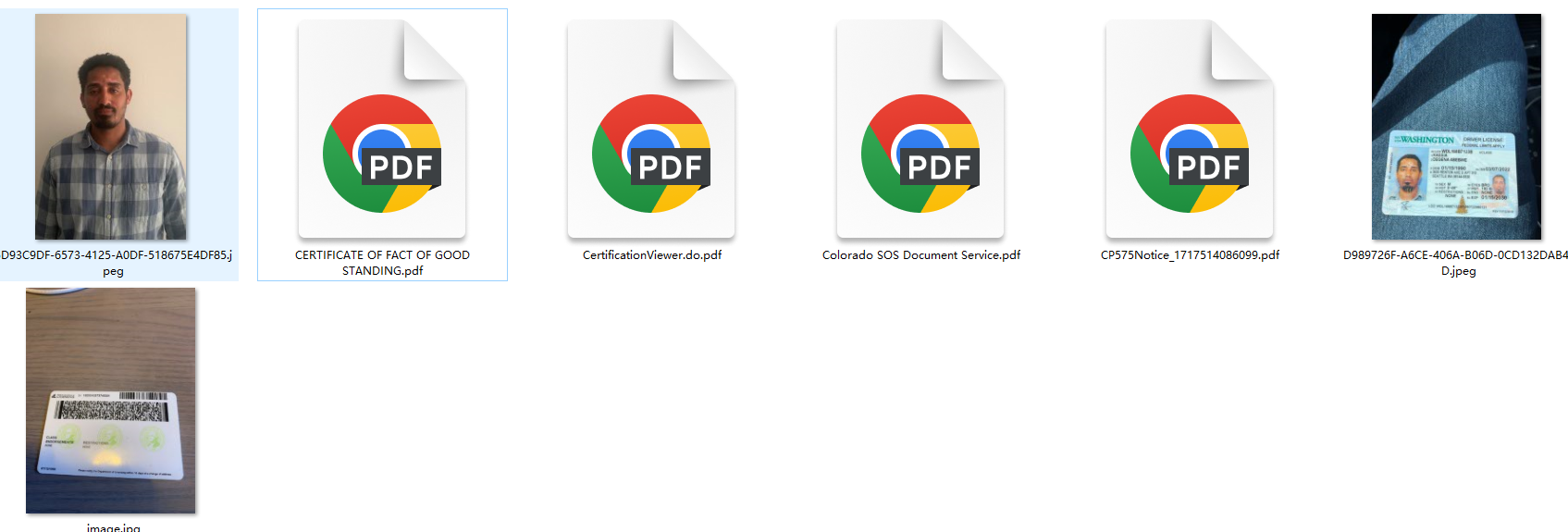 美国公司全套资料