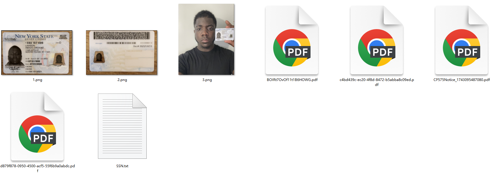 30套美国公司全套资料