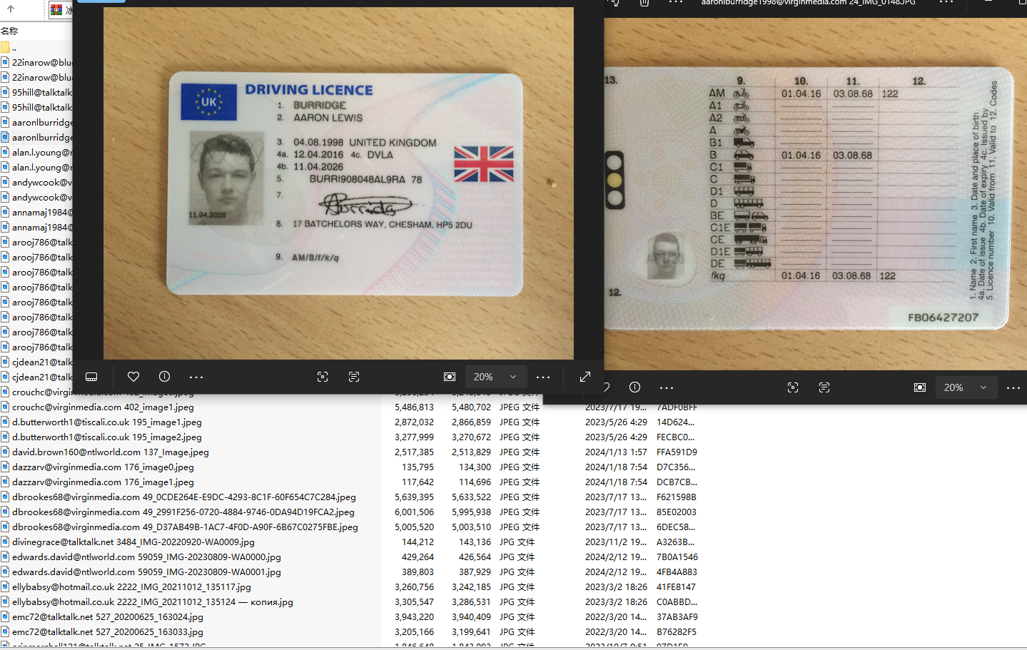 （活动）英国驾照正反图片形式100套