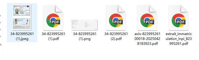法国公司全套资料一套