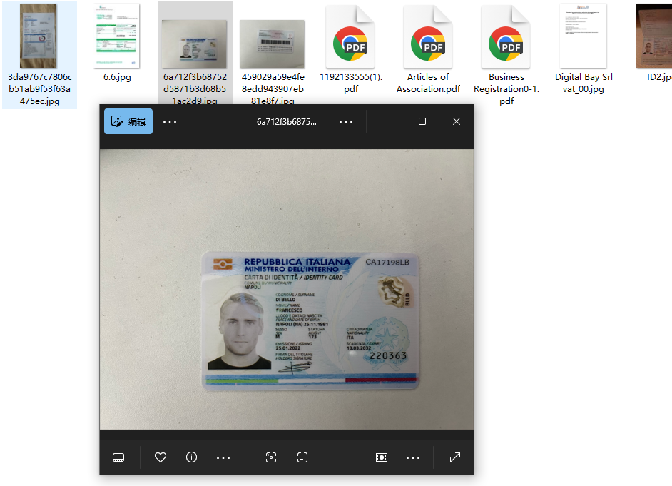 意大利公司企业资料一套